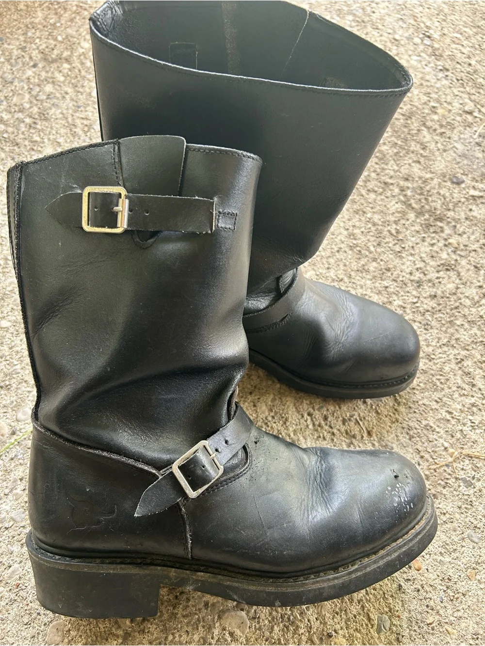 Texas Steer durable black